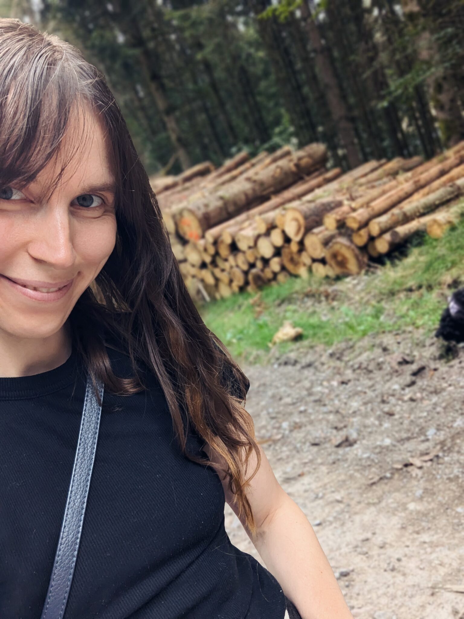 EagleSyndrom Ein kleiner Knochen macht große Symptome wirbelwirrwarr